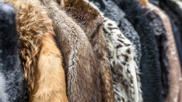 Online cross-border luxury sales have shot up by nearly 200 per cent as the “much-predicted shift to digital luxury” gets underway.